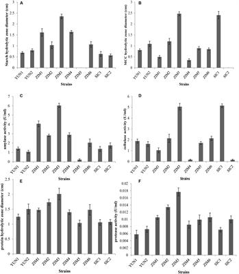 Production of Highly Active Extracellular Amylase and Cellulase From Bacillus subtilis ZIM3 and a Recombinant Strain With a Potential Application in Tobacco Fermentation